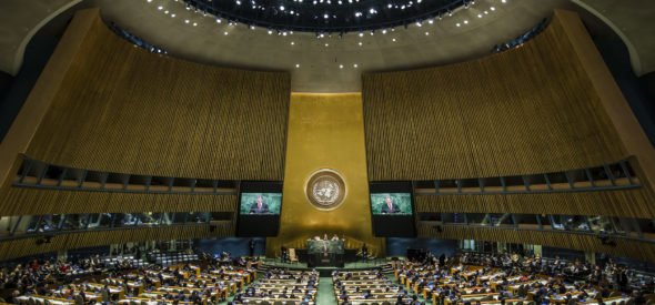 ADC envió aportes a la consulta pública de la RELE y la UNESCO sobre el Examen Periódico Universal