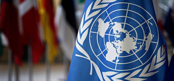 Contributions to the National Action Plan on Business and Human Rights