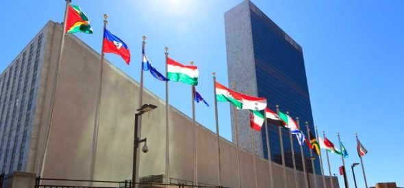 Aportes a la ONU sobre el derecho a la protesta y la vigilancia de la ciudadanía